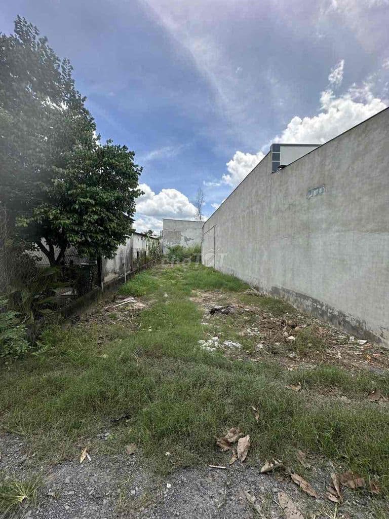 5x21 full tho cu - Ảnh 3