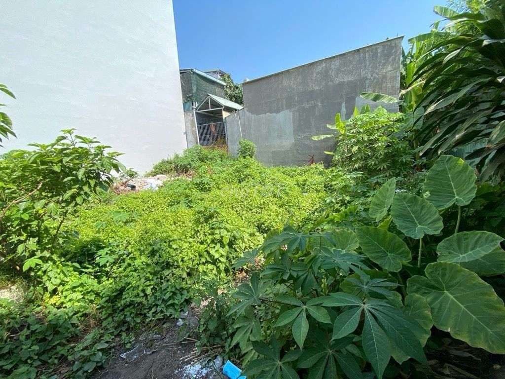 THỬA ĐẤT HUỲNH TẤN PHÁT - 55M2 - SỔ VUÔNG - NHỈNH 4 TỶ. - Ảnh 2