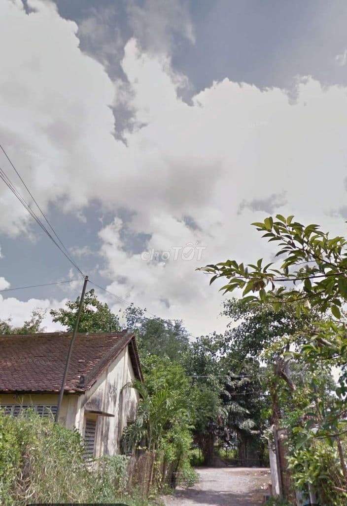 Chính chủ Bán đất Diện Tích 6 x 30m2 Gần Vinhome - Ảnh 2