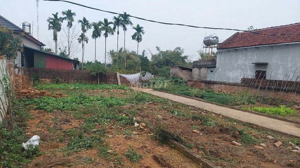 Chỉ 1,45 tỷ tôi chính chủ bán 41m đất xã Trạch Mỹ Lộc, Phúc Thọ, HN - Ảnh 3