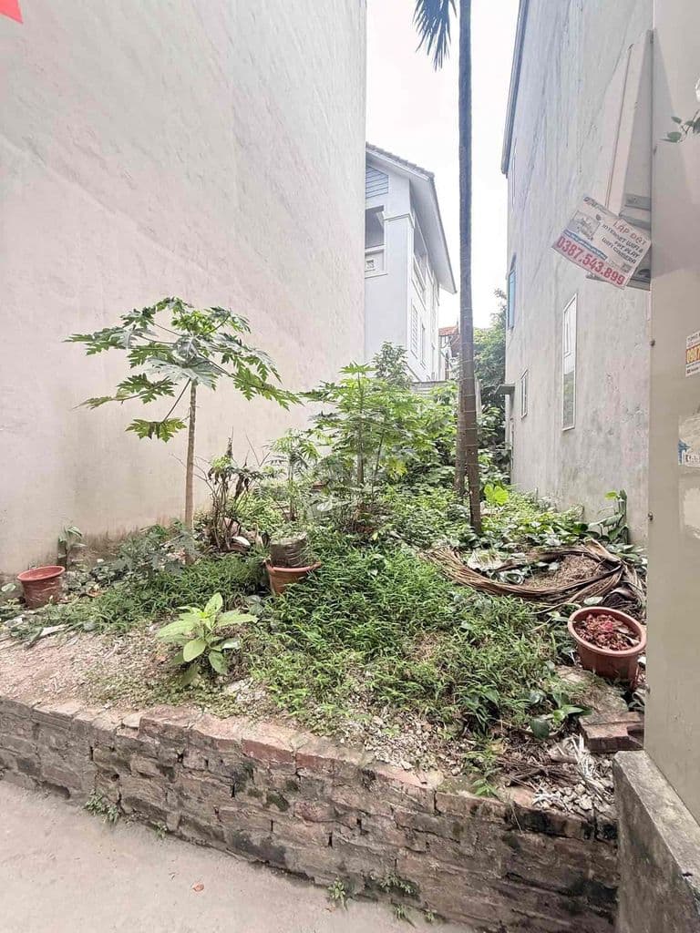 Tây Mỗ Mảnh Đất Vàng Còn Xót Lại - Ảnh 3