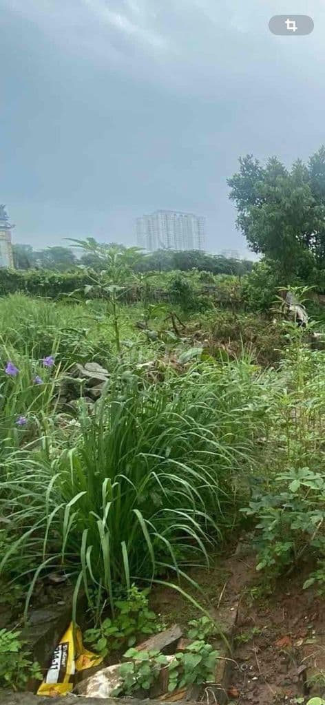 Hot ! Nhỉnh 20tr/m2 có lô đất Định Công Hạ-Oto 40m-Lô góc-70m;MT5m