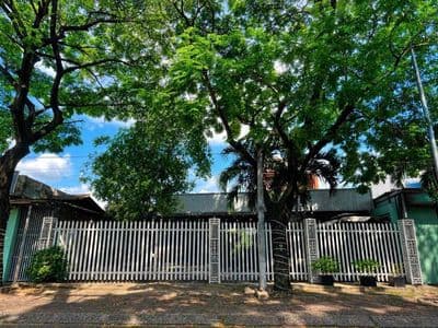 Cho Thuê Mặt Bằng Phú Thọ, Thủ Dầu Một - Diện tích : 14x45 (660m2) c
