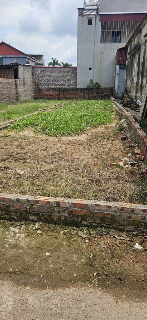 🎉🎉 Lô 60m2 Hiền Lương,Hiền Ninh – Nhỏ Tiền,Ô Tô Tải đỗ cửa – Sát trục