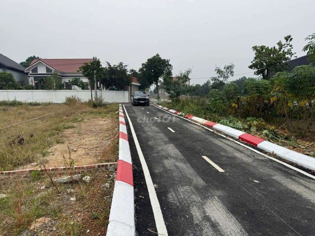 BÁN ĐẤT ĐẸP KIM ANH - Ảnh 3