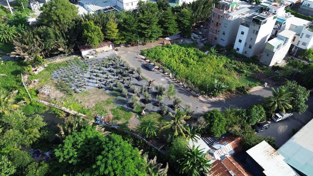 đất ngay vành đai 2, liền kề đại lộ phạm văn đồng, TT Thủ Đức. - Ảnh 2