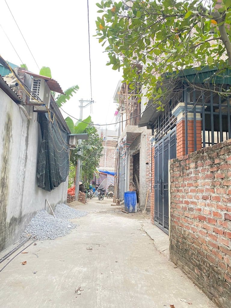 Đât sổ đỏ 50m2 xóm 4 Hải Bối , Đông Anh - Ảnh 3