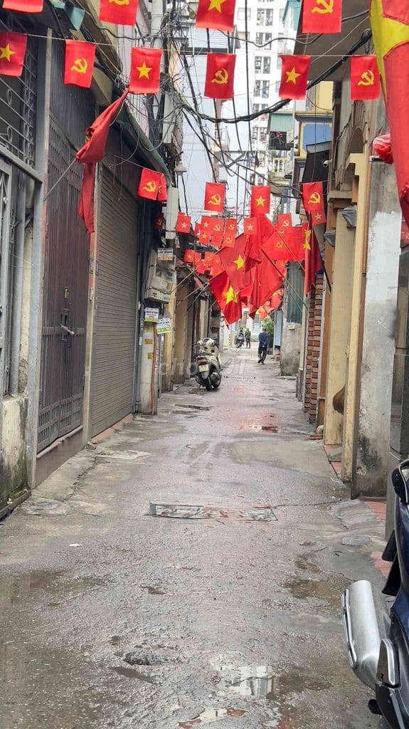 Bán mảnh đất Tam Trinh ô tô đỗ cổng , trc nhà rộng 2m , mặt tiền 4,5m - Ảnh 2