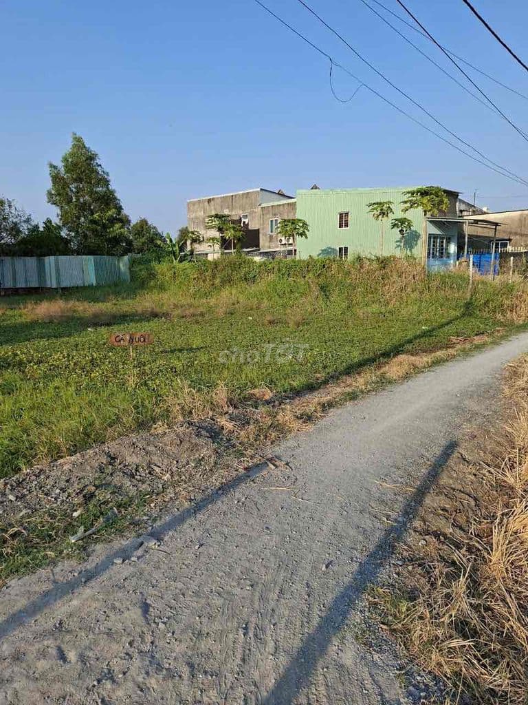 Bán đất 1000m2 thổ cư 860m2 Xã Hưng Long giá rẻ 8.5ti