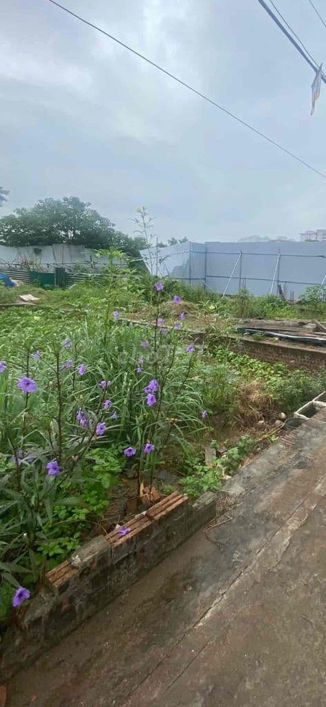 Hot ! Nhỉnh 20tr/m2 có lô đất Định Công Hạ-Oto 40m-Lô góc-70m;MT5m - Ảnh 3