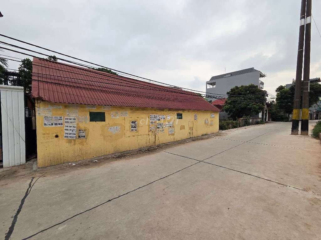 chính chủ bán đất tam hưng phân lô ô tô chạy vòng quanh - Ảnh 3