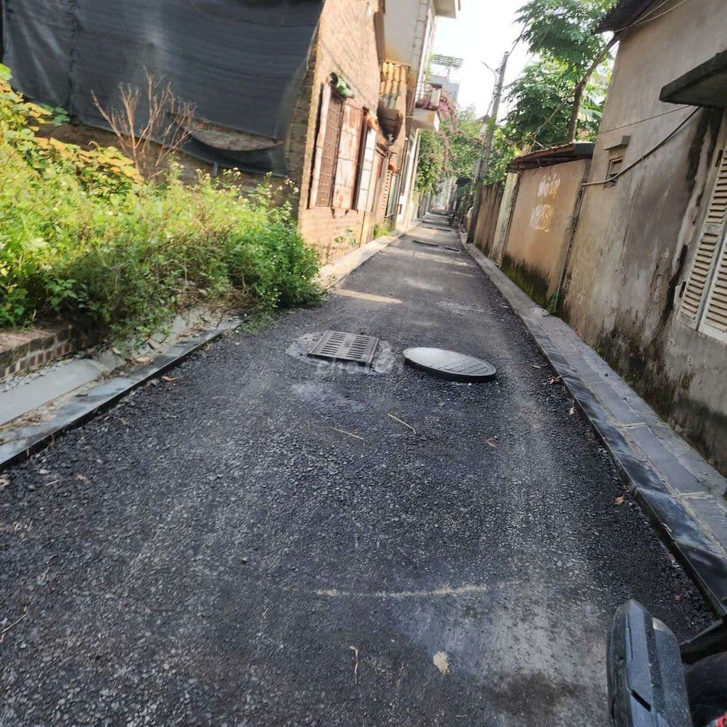 Gia đình cần xoay vốn làm ăn, nên nhượng lại mảnh đất tâm huyết. - Ảnh 3