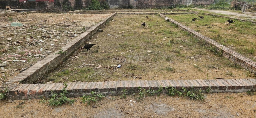 ❤️🔥Bán 69m2 Tổ 9 TT Quang Minh – Ô Tô 7 chỗ ngủ trong đất – Vuông Vắn