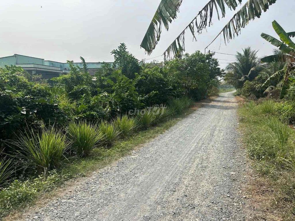 BÁN đất giá rẻ Kênh Thầy Thuốc Bình Lợi gần VÀNH ĐAI 3 - Ảnh 2