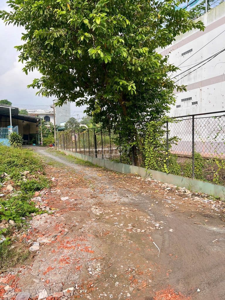 BÁN ĐẤCHỢ BÌNH CHÁNH-SỔ RIÊNG-HOÀN CÔNG-XÂY DỰNG TỰ DO-GIÁ 750TR CÓ TL