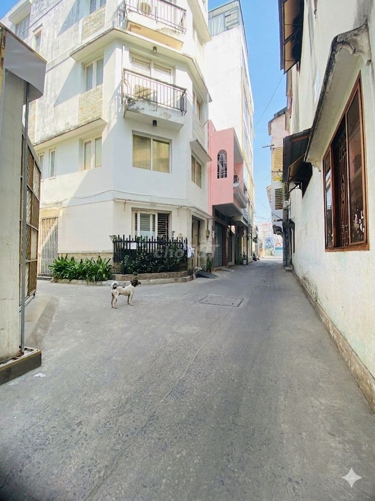 💎Nhà CMT8 NGANG KHỦNG 8x13 , CHỈ 8 TỶ, cách mặt tiền 15M 💵