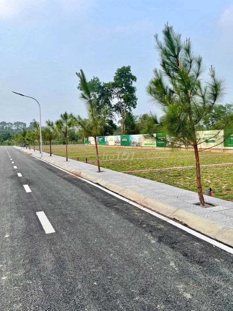 LÁNG HÒA LẠC, 100M, MT6M, GIÁ 2,9 TỶ - Ảnh 3