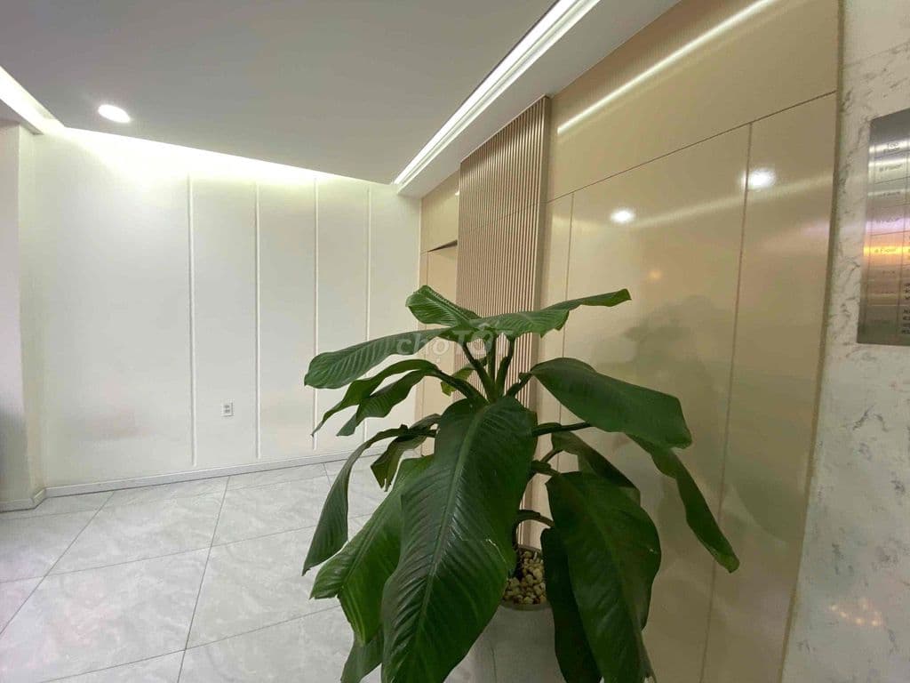 Toà Nhà Nguyễn Công Trứ Hầm Trệt 8 Lầu - Ảnh 3