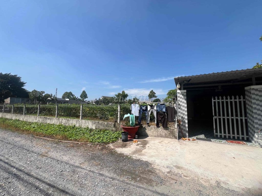 Đất chính chủ 12,5 x37m 450m2 Tân Thạnh Đông , Củ Chi - Ảnh 2