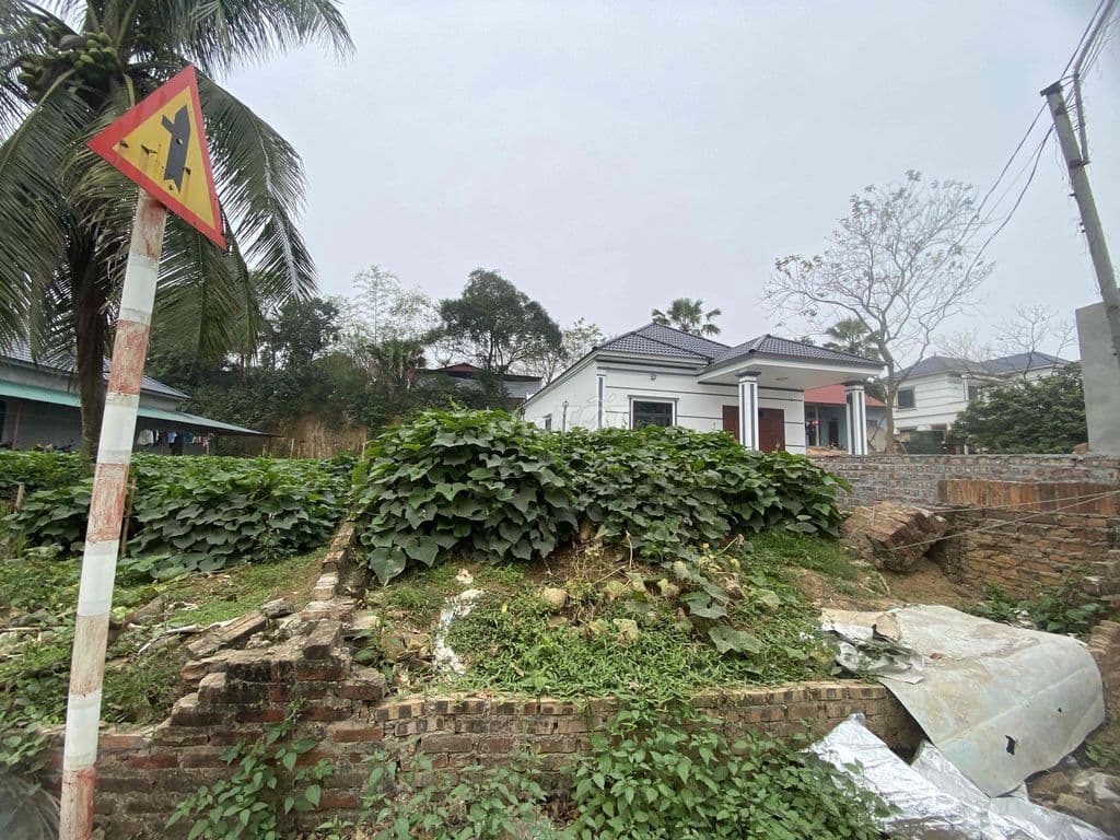 🌹 🌹🌹CỰC HÓT , CỰC HIẾM 2,5 tỷ LÔ ĐẤT - THƯ LÂM ĐÔNG ANH - Ảnh 2