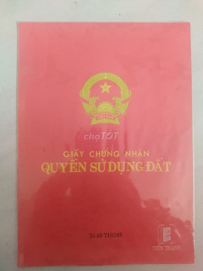 Bán đất cây lâu năm mặt tiền đường Rừng Sác, huyện Cần Giờ, TP. HCM. - Ảnh 3