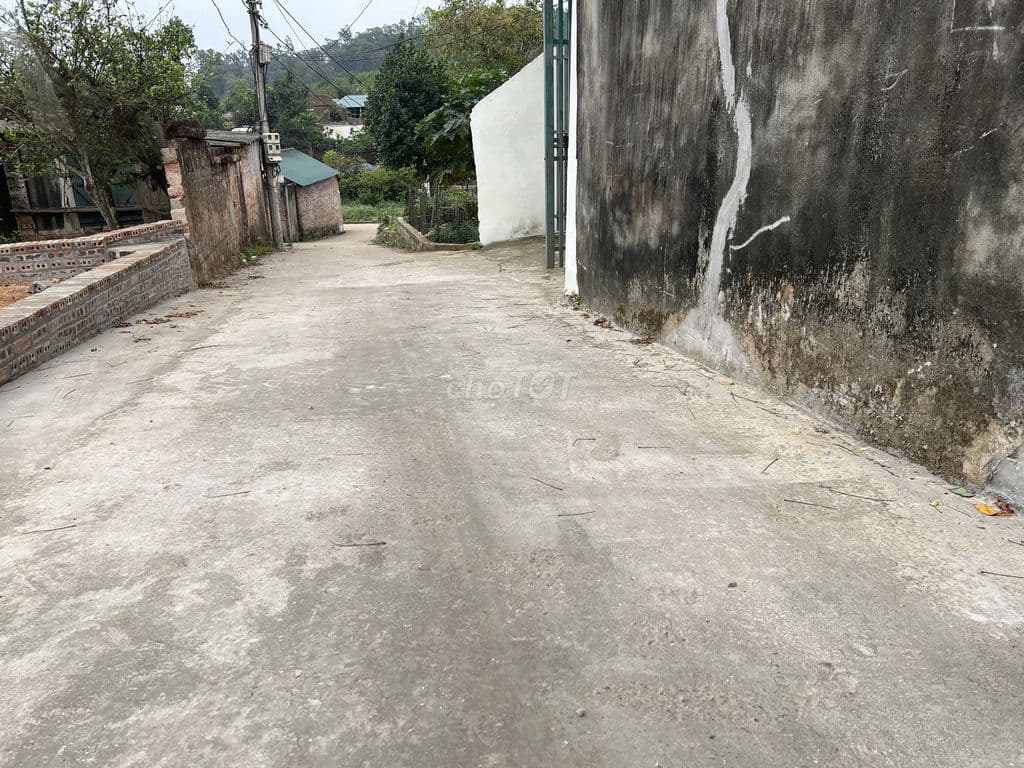 Đất sổ đỏ 226m2 tại Sơn Tây, Hà Nội - Ảnh 3