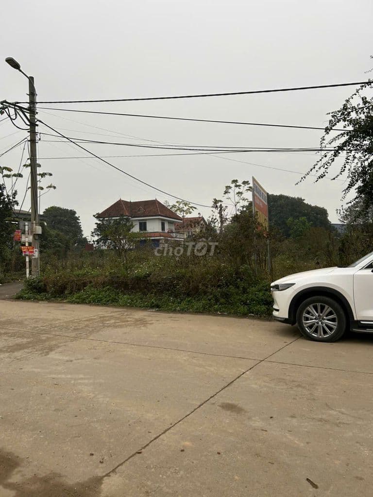 Cần bán gấp lô đất tiềm năng gần trang trại Quang tèo thạch thất - Ảnh 3