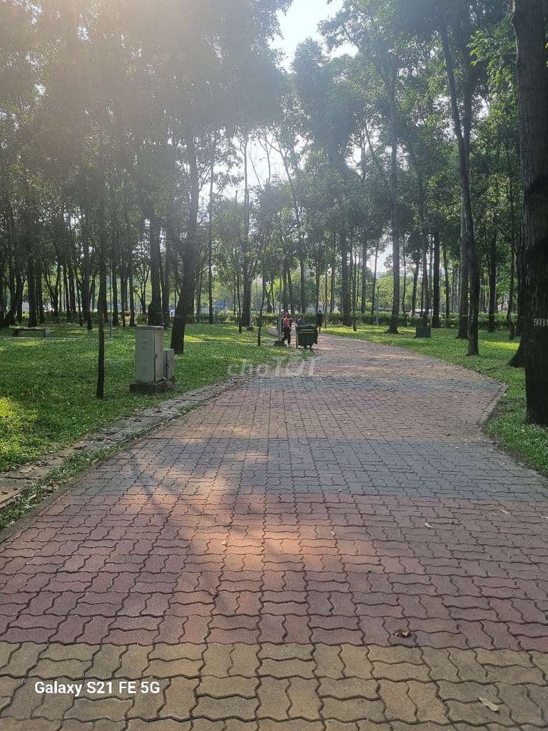 15.5 tỷ hẻm xt F3 quận gò vấp - Ảnh 2