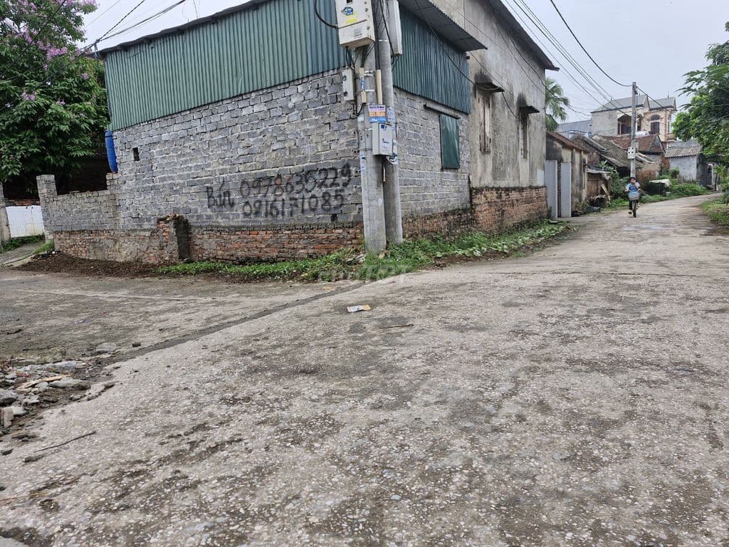 CHỈ VÀI TRIỆU/M đất mặt tiền rộng chia lô tại xã trần phú - Ảnh 3