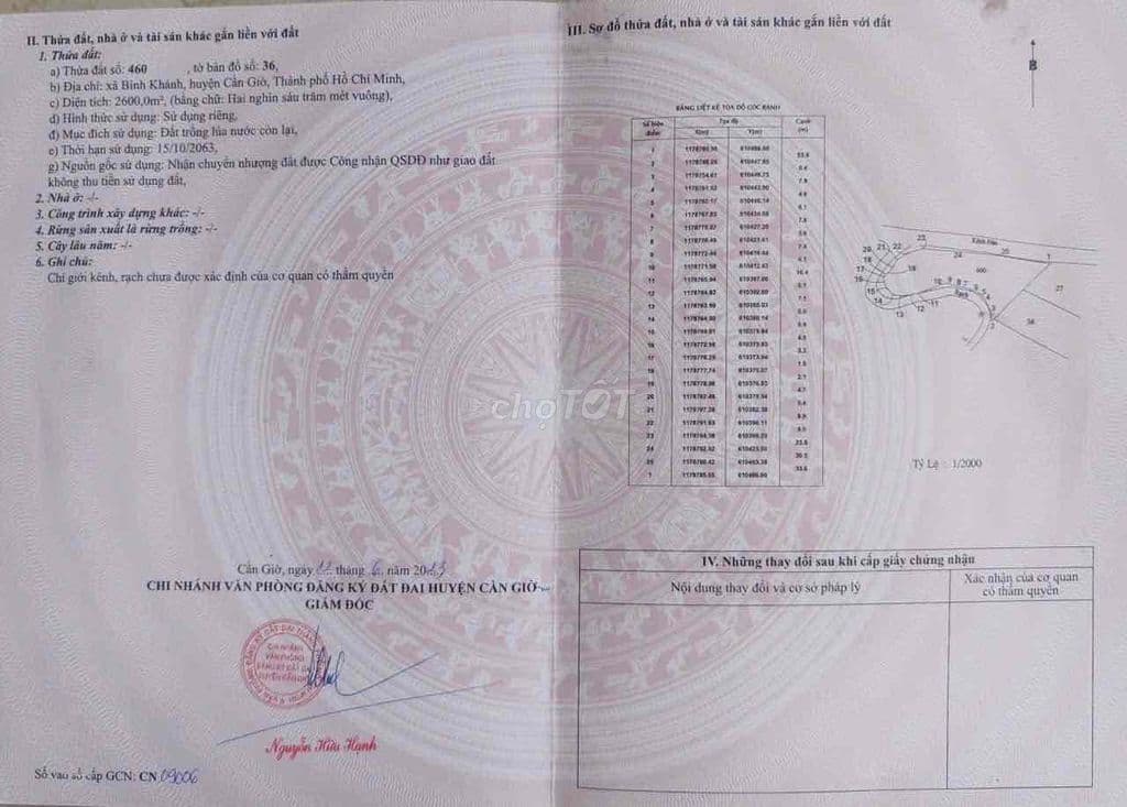 Bán lô đất vườn doi mỹ khánh ngay vị trí đón đầu cầu cần giờ - Ảnh 3