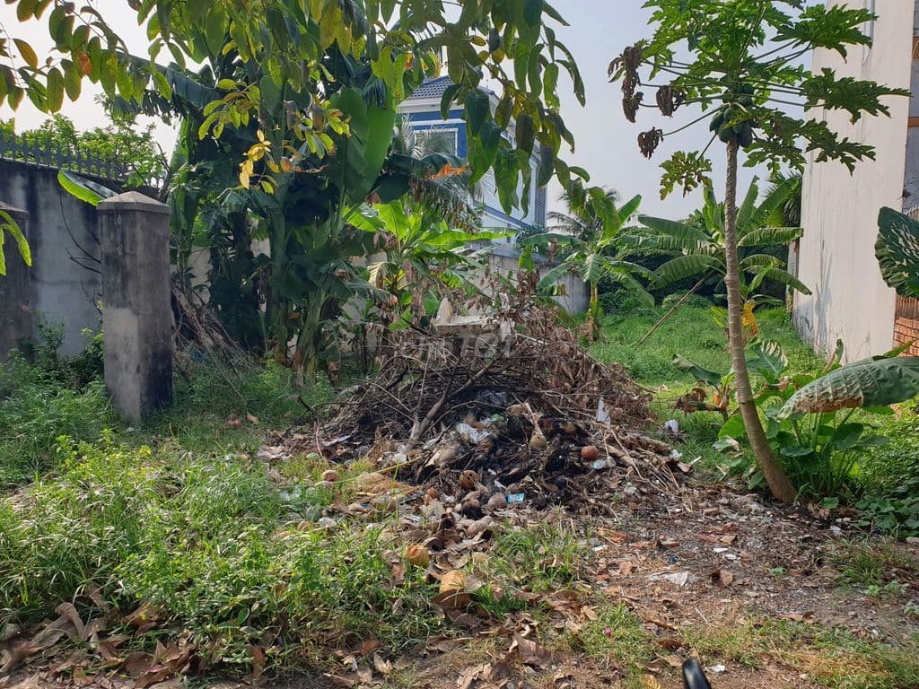 Đất thổ cư 10m*45m, mặt tiền nhựa 12m, gần chợ Xuân Thới Thượng - HMôn - Ảnh 3