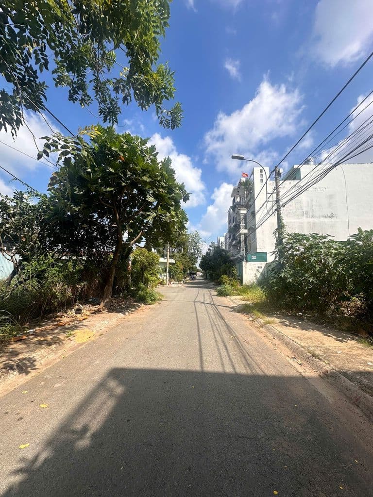 Bán đất 4x22 ( 88m2 ), sổ hồng riêng, đường nội bộ 10m, Lê Bôi P7Quan8 - Ảnh 3