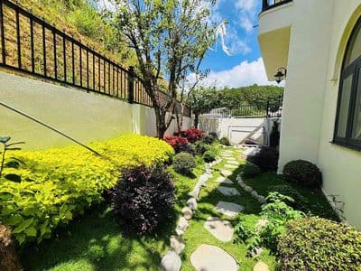 Tìm chủ nhân cho căn villa sân vườn đường an sơn phường 4