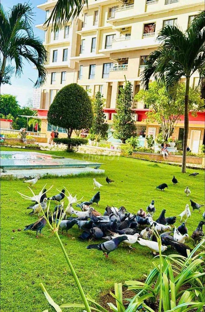 🌺cho thuê căn hộ 2pn*Đầy đủ NT*View sông*Cc Đức khải Q7*Dt 67m2-9 tr - Ảnh 2