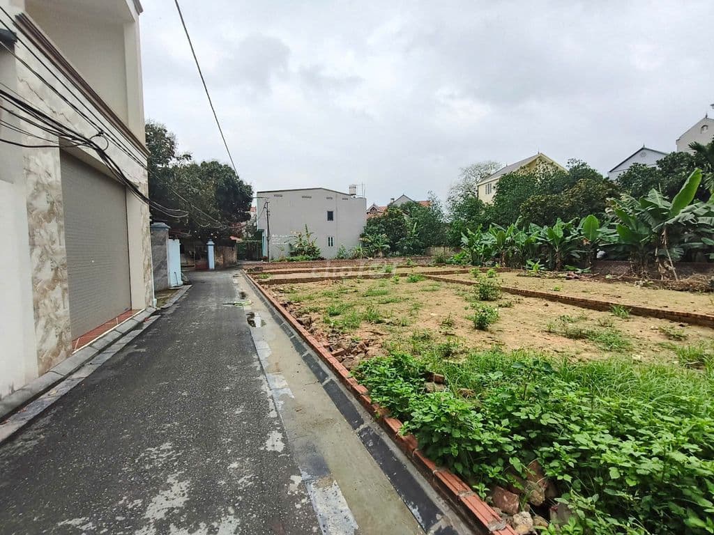 🍀 Đất Đẹp 80m2 Xóm Gà, Cổ Loa – Lexus 🚘 đỗ cửa – 15 Phút Cầu Đông Trù - Ảnh 2