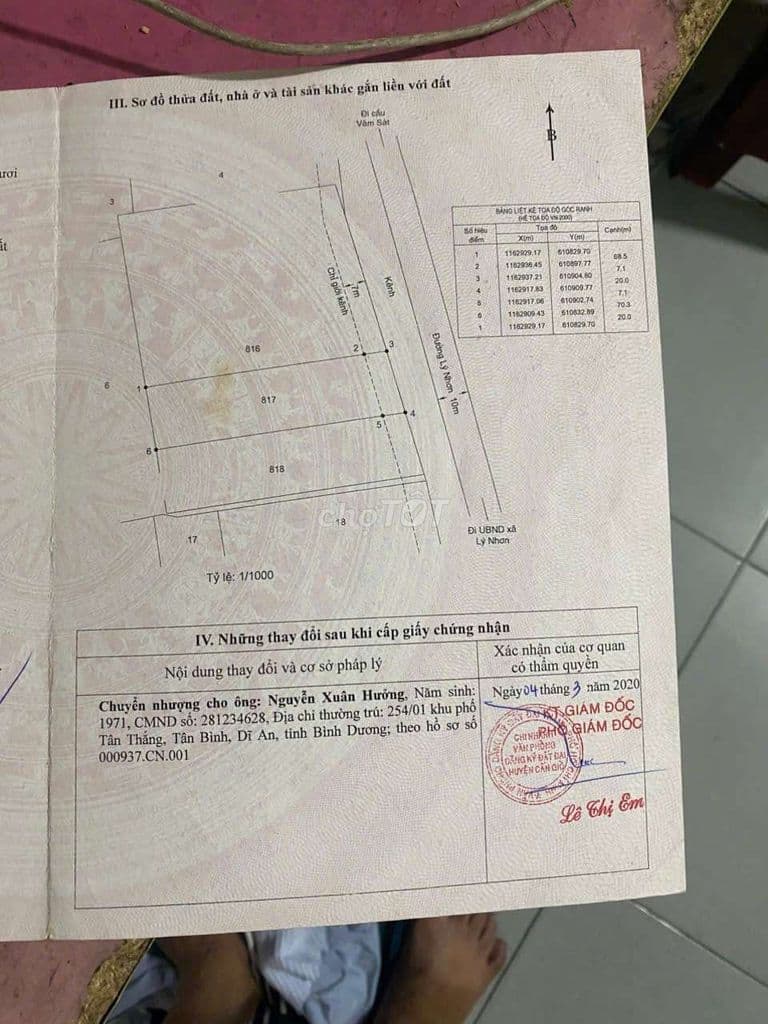 ĐẤT MẶT ĐƯỜNG LÝ NHƠN - Ảnh 3