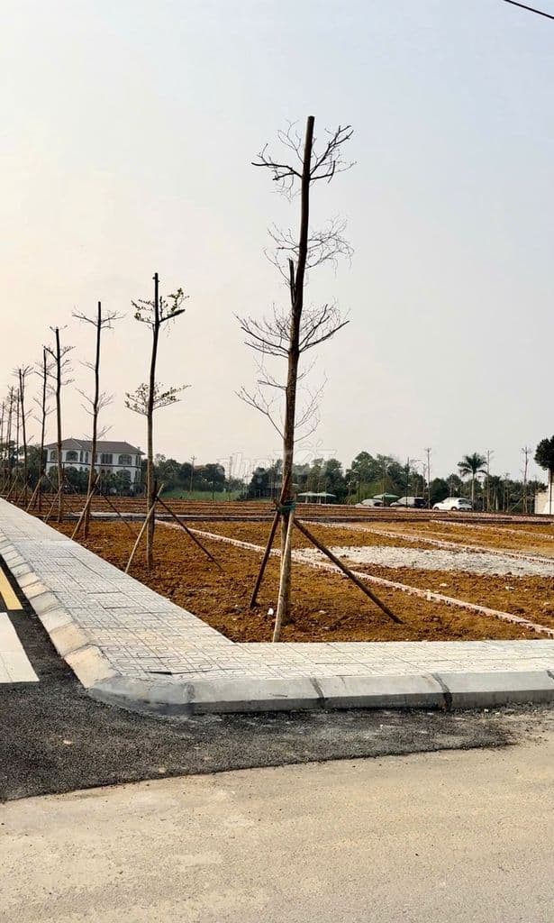 LÔ GÓC 2 MẶT TIỀN - TRỤC CHÍNH KINH DOANH - GIỮA ĐH QUỐC GIA & ĐH FPT - Ảnh 3