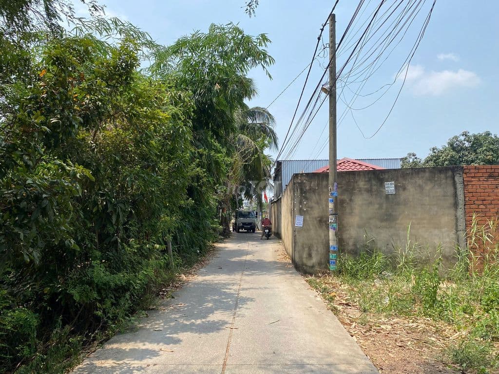 Đất 5x20m full thổ cư hẻm xe tải , Xuân Thới Sơn gần Dương Công Khi - Ảnh 2
