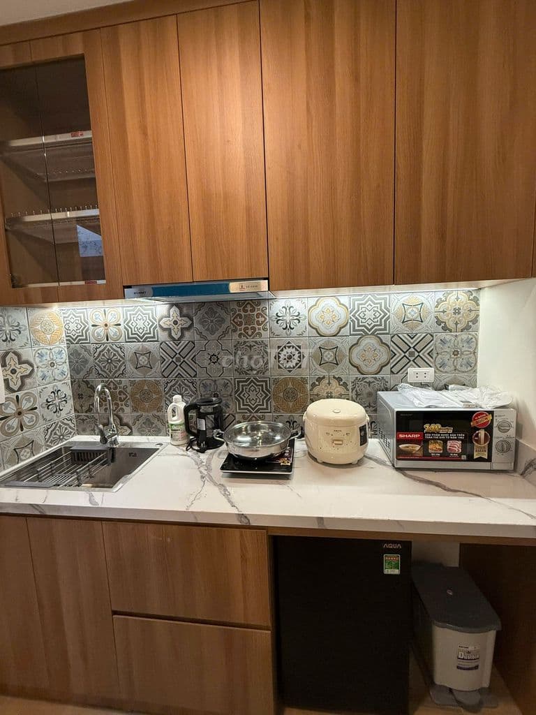 CHO THUÊ NHÀ NGUYÊN CĂN 4T - THANG MÁY - PHỐ ĐỘI CẤN- HOÀNG HOA THÁM - Ảnh 2