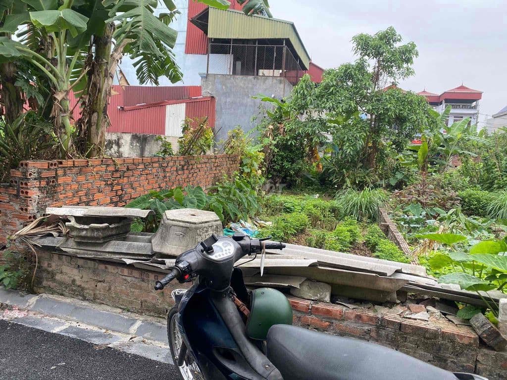 🏡 Ô TÔ VÀO TẬN ĐẤT - THƯ LÂM ĐÔNG ANH TÀI CHÍNH NHỎ - Ảnh 2