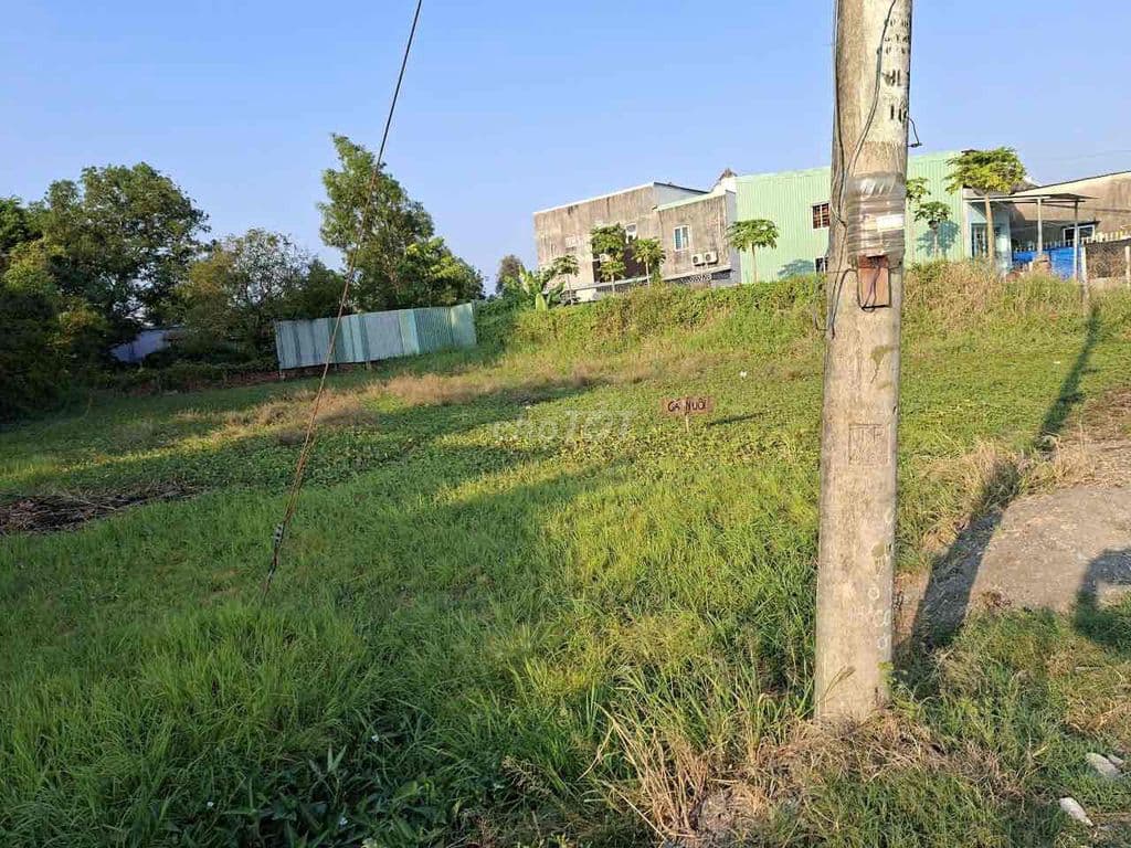 Bán đất 1000m2 thổ cư 860m2 Xã Hưng Long giá rẻ 8.5ti - Ảnh 3