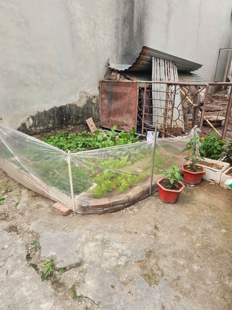 ĐẤT TỔ 17 ĐỒNG MAI HÀ ĐÔNG, 41M, MT3,9M, GIÁ 2,92 TỶ - Ảnh 2