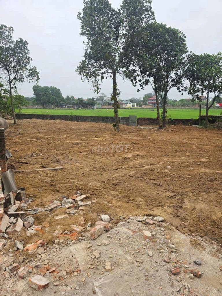 Giá hơn 11tr/m Full thổ cư 275m có View Đồng gần đường 1.500 ty và UB - Ảnh 2