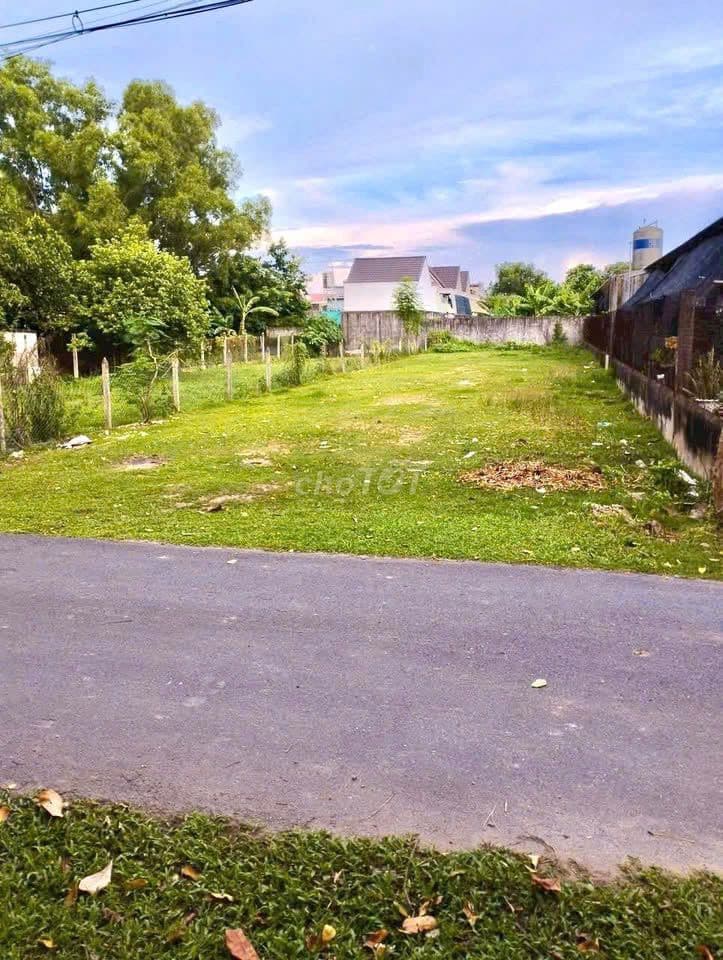 BÁN GẤP 500M2(10x50) ĐẤT MT NGUYỄN VIẾT XUÂN, TT CỦ CHI GIÁ 420TR SHR