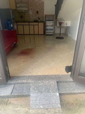 căn hộ cho thuê full nội thất 1 phòng ngủ gác lửng