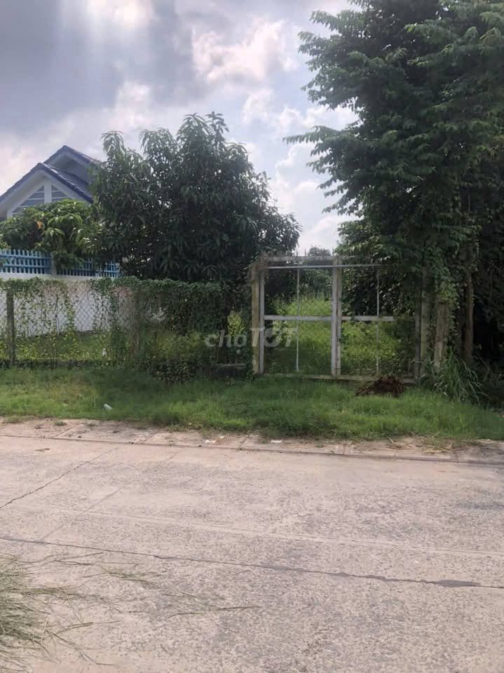 SOS bán 156,8m2 đất full thổ cư ,X.Tân Phú Trung Củ Chi . Giá 1.2 tỷ - Ảnh 2