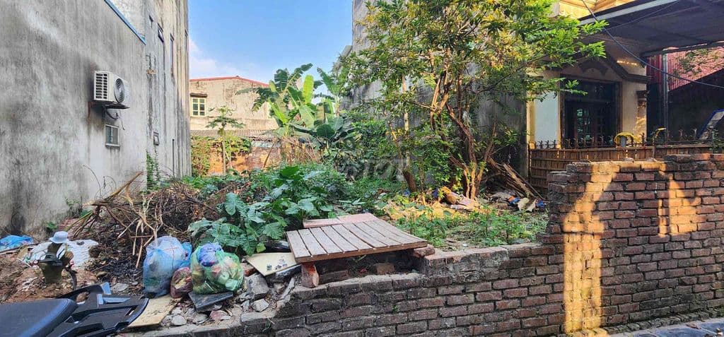 Bán Đất Hội Phụ , Đông Hội , Đông Anh 77.3m mặt tiền 4m - Ảnh 3