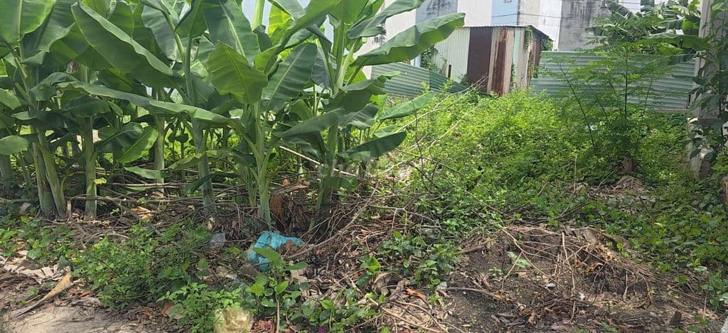 ĐẤT ĐẸP BÀ ĐIỂM - GIÁ TỐT - 10.41m × 16m( giá 6.7 tỷ) - Ảnh 3