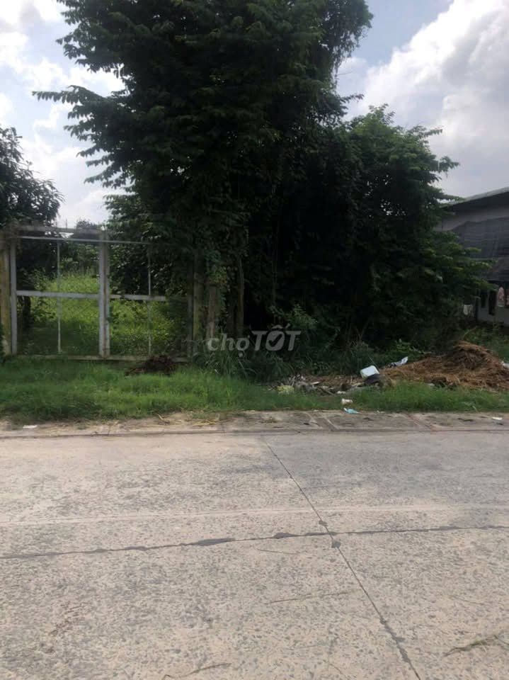 SOS bán 156,8m2 đất full thổ cư ,X.Tân Phú Trung Củ Chi . Giá 1.2 tỷ