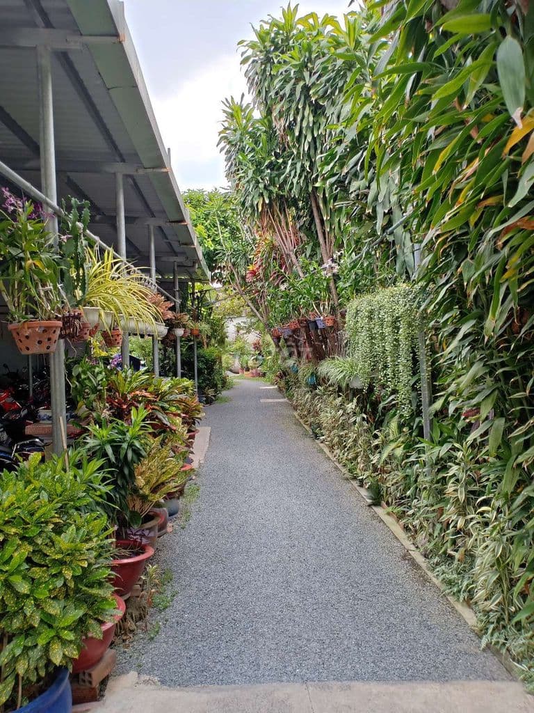 Phòng trọ cách Nguyễn Văn Quá 200m